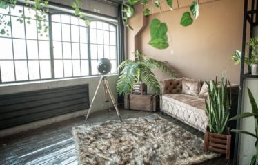 POLIGON STUDIO